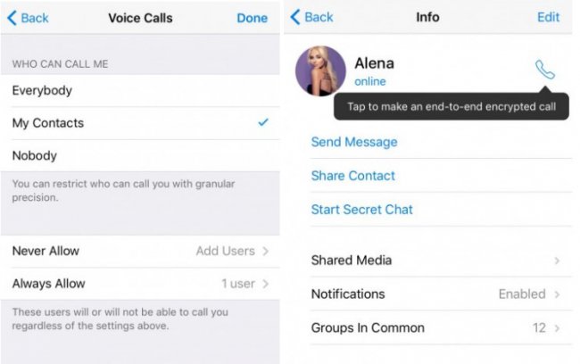 Инструкция по активации голосовой связи в Telegram