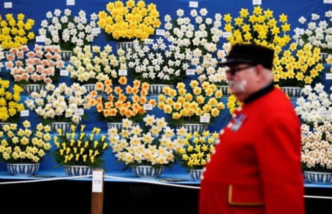 Лондон приглашает на выставку цветов