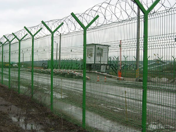   3 3d-perimetr.ru