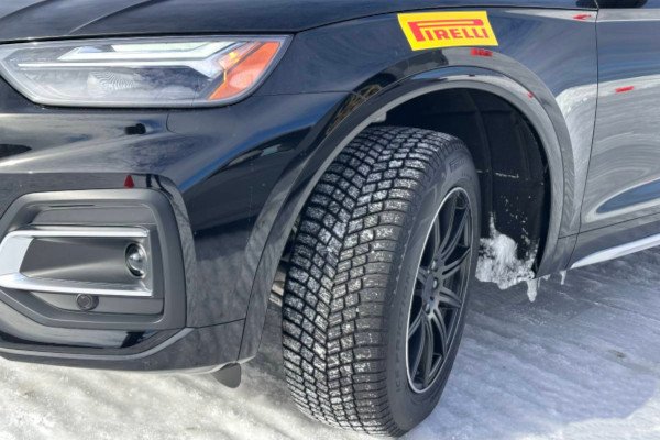 ������ ����